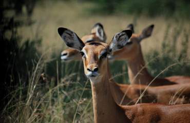 Tarangire National Park